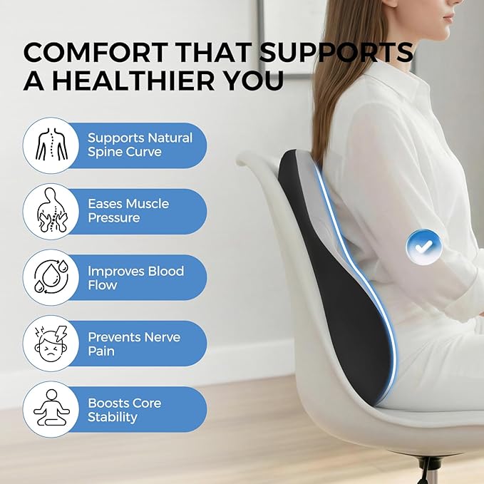 BEBAS Ergonomic Lumbar Support Pillow for Car, Memory Foam Back Support for Driving, Lower Back Pillow for Pain Relief, Comfort Lumbar Cushion for Office Chairs, Car Seat, Wheelchair -Gray