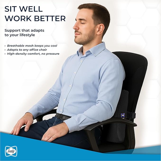 Sealy Lumbar Support Pillow for Office Chair and Car Seat - Lower Back Pain Relief, Memory Foam Lumbar Pillow & Back Brace Support Posture Corrector