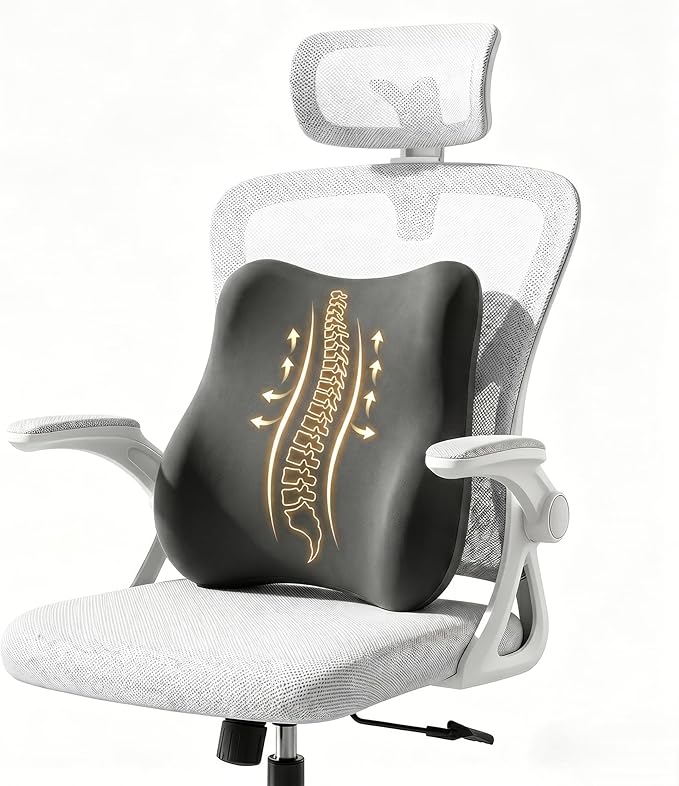 Lumbar Support Pillow for Office Chair & Car Seat, Ergonomic Memory Foam Back Cushion, Washable Pillow Cover, Lower Back Comfort & Posture Support for Home Desk Chair (Dark Grey)