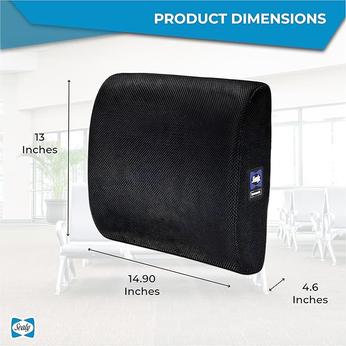 Sealy Lumbar Support Pillow for Office Chair and Car Seat - Lower Back Pain Relief, Memory Foam Lumbar Pillow & Back Brace Support Posture Corrector