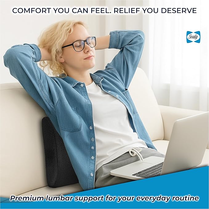 Sealy Lumbar Support Pillow for Office Chair and Car Seat - Lower Back Pain Relief, Memory Foam Lumbar Pillow & Back Brace Support Posture Corrector
