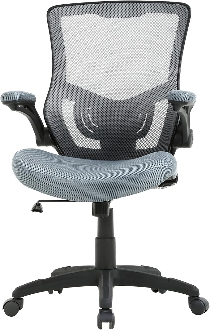 PayLessHere Office Chair Ergonomic Mesh Back Computer Chair Breathable Lumbar Supports Flip Up Armrest with Adjustable 360 Degree Desk Chair for Home Office Gaming (Grey)