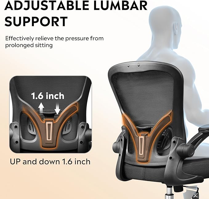 DEVAISE Office Chair, Ergonomic Computer Desk Chair with Flip-up Armrests, Comfy Mesh with Adjustable Lumbar Support, Black