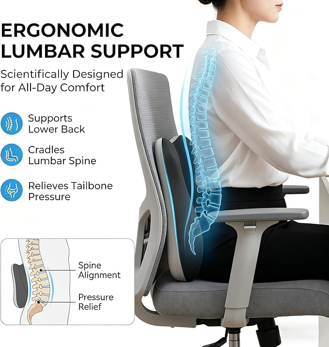 Lumbar Support Pillow for Office Chair & Car Seat, Ergonomic Memory Foam Back Cushion, Washable Pillow Cover, Lower Back Comfort & Posture Support for Home Desk Chair (Dark Grey)