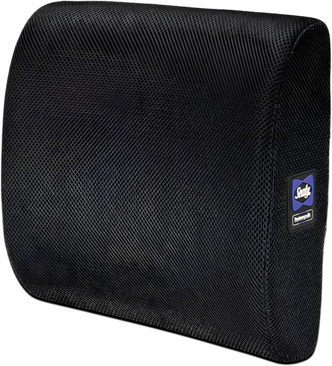 Sealy Lumbar Support Pillow for Office Chair and Car Seat - Lower Back Pain Relief, Memory Foam Lumbar Pillow & Back Brace Support Posture Corrector
