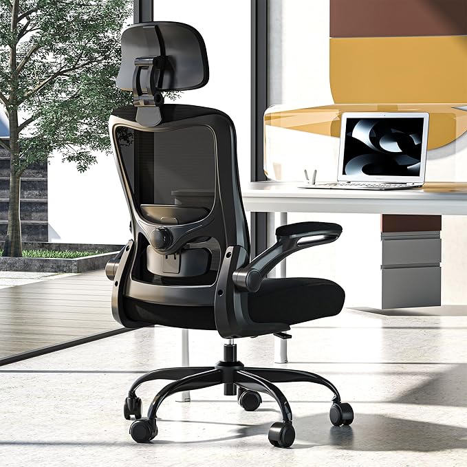 Office Chair, Ergonomic Mesh Desk Chair with Adjustable Lumbar Support and Headrest, Flip-up Armrests, High Back Computer Task Chair for Home and Executive Office (B-All Black)