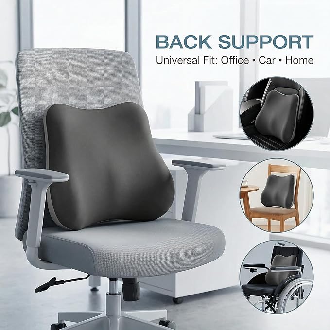 Lumbar Support Pillow for Office Chair & Car Seat, Ergonomic Memory Foam Back Cushion, Washable Pillow Cover, Lower Back Comfort & Posture Support for Home Desk Chair (Dark Grey)