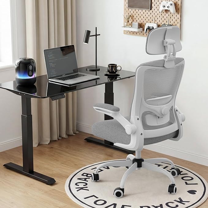 Office Chair, Ergonomic Mesh Desk Chair with Adjustable Lumbar Support and Headrest, Flip-up Armrests, High Back Computer Task Chair for Home and Executive Office (G-All Grey)