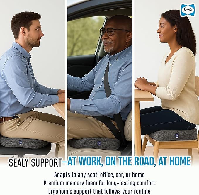 Sealy Memory Foam Seat Cushion for Car and Office Chairs Tailbone Pain Relief, Posture Support, and Comfort for Home Office Use