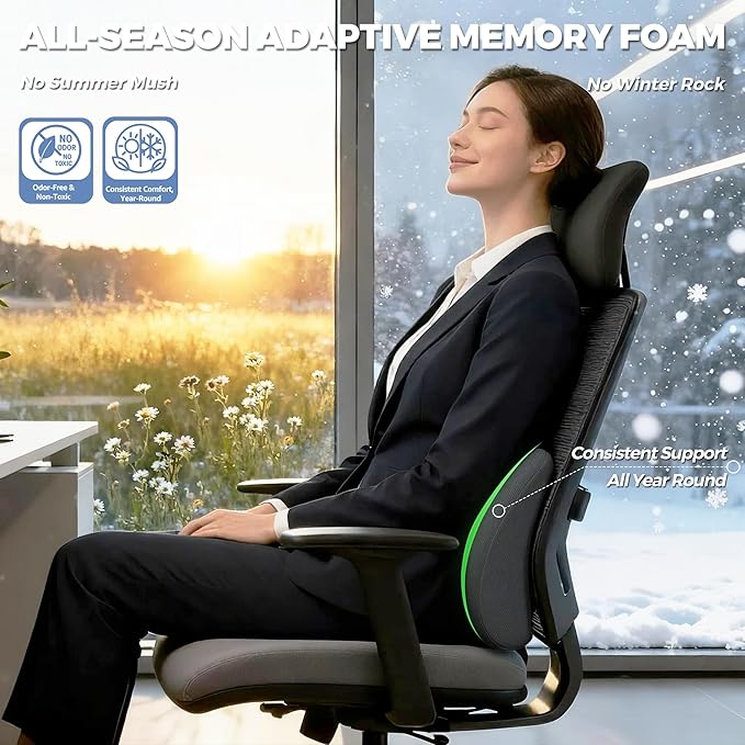 Lumbar Support Pillow for Office Chair & Car Seat - Temperature Stable Memory Foam for Lower Back Pain Relief, Non-Slip Back Cushion with Dual Straps for Desk Workers & Drivers (Black)