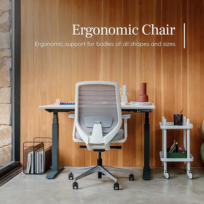Branch Ergonomic Chair - A Versatile Desk Chair with Adjustable Lumbar Support, Breathable Mesh Backrest, and Smooth Wheels - Experience Optimal Comfort and Support - Black