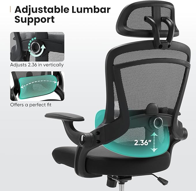 Sweetcrispy Executive Office Ergonomic Desk Chair, 300 LBS Home Mesh Chairs with Wheels, 2D Headrest, Up&Down Lumbar Support, Swivel High Back Computer Chair with Flip-up Armrests,Black
