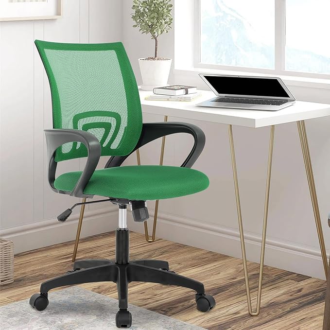 PayLessHere Home Office Chair Desk Computer Chair Adjustable Ergonomic Lumbar Support Armrest Executive with High Density Mesh 360 Degree Swivel Chair for Men Women Adults, Green