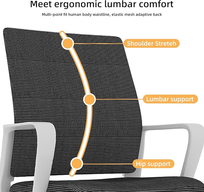 Modern Mesh Office Chair, Ergonomic Desk Chair with Armrests, Breathable Computer Task Seat for Home Work, Sled Base Guest Furniture, Comfortable Lumbar Support, Metal Frame, White+Black