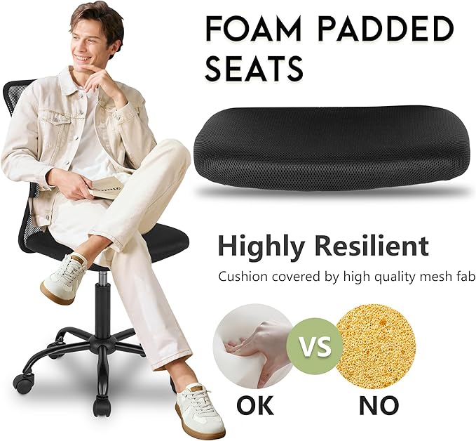BestOffice Ergonomic Office Chair Desk Chair Mesh Computer Chair Armless Back Support Modern Executive Rolling Swivel Chair with Lumbar Support（Black）