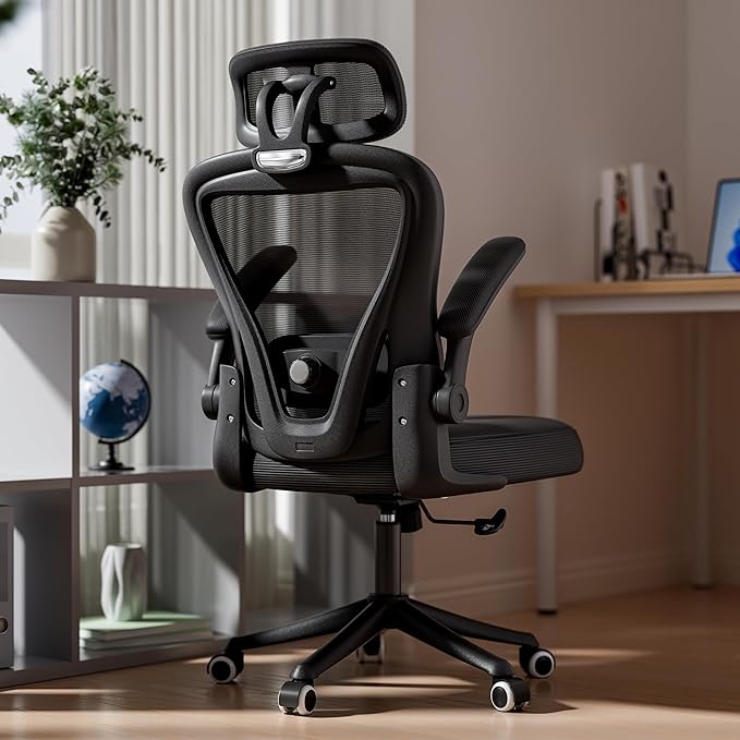 SeekFancy Ergonomic Office Chair M903, Computer Desk Chair with Wheels, High Back Mesh Office Chair with Adjustable Lumbar Support, Headrest, Flip-Up Armrests, Black