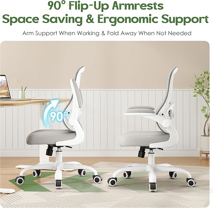 Office Chair Ergonomic Desk Chair - Mesh Comfy Home Desk Office Chairs with Wheels Adjustable Lumbar Support Flip up Armrest Executive Rolling Swivel Teacher Task Computer Chair Light Gray