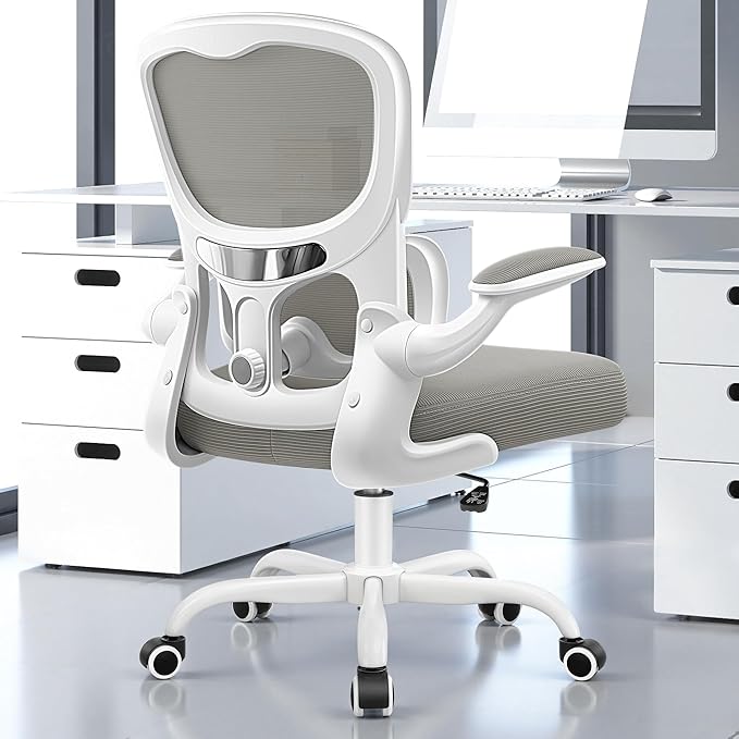 ALLGOD Ergonomic Office Chair, Breathable Mesh Ergonomic Desk Chair with Adjustable Lumbar Support, Flip-up Armrests, Computer Chairs Comfortable for Home, Office, Work, 300lbs, LightGray, Upgrade