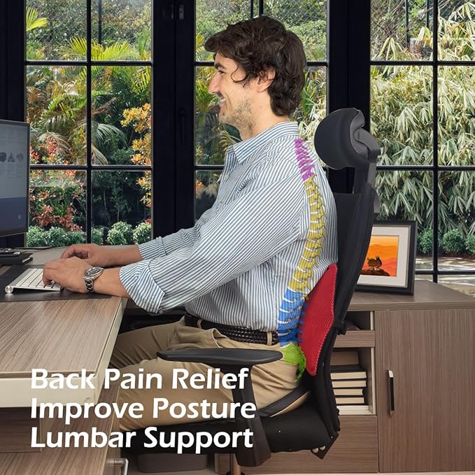 2Pack Inflatable Lumbar Support Pillow for Office Chair and Car Seat, Back Support Cushion with Air Pump for Reducing Lower Back Pain