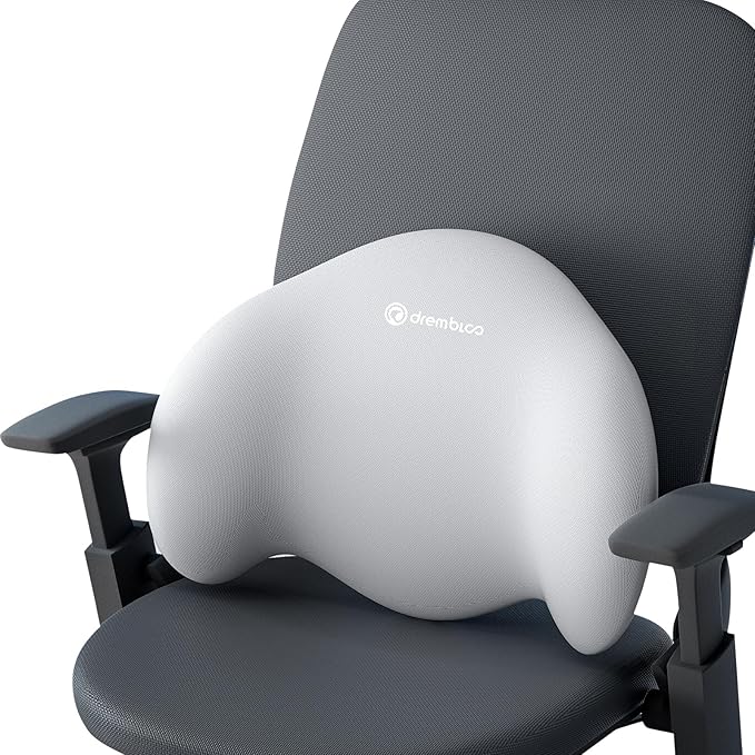 Lumbar Support Pillow for Office Chair, Extra Dense Memory Form Pillow Lumbar Pillow for Car, Back Support Pillow for Recliner Chair, Chair Back Support for Lower Back Pain Relief