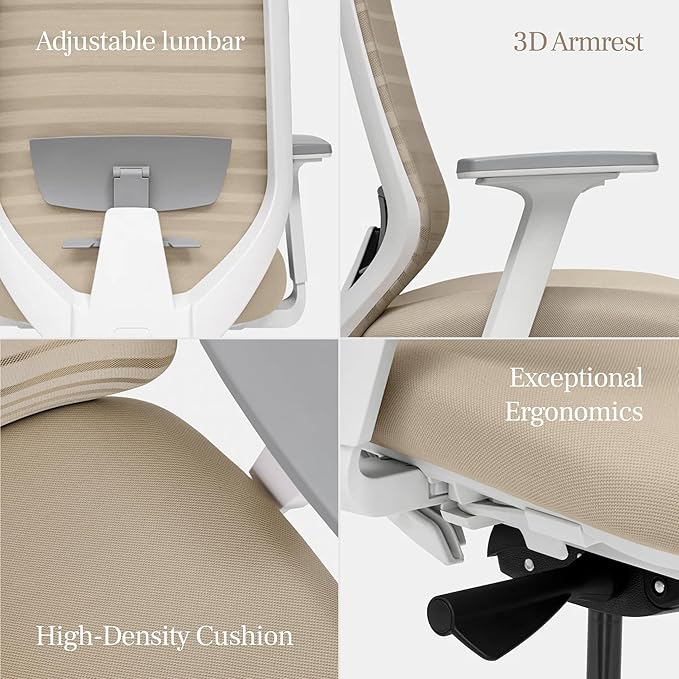 Branch Ergonomic Chair - A Versatile Desk Chair with Adjustable Lumbar Support, Breathable Mesh Backrest, and Smooth Wheels - Experience Optimal Comfort and Support - Poppy