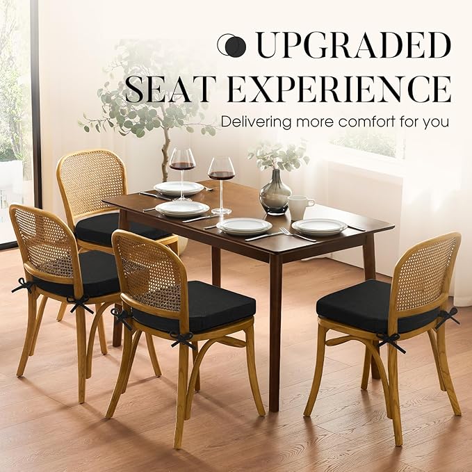 Basic Beyond Chair Cushions for Dining Chairs with Ties and Removable Cover, 2" Thick Seat Cushions for Kitchen Chairs, Set of 4, 17" x 16", Black
