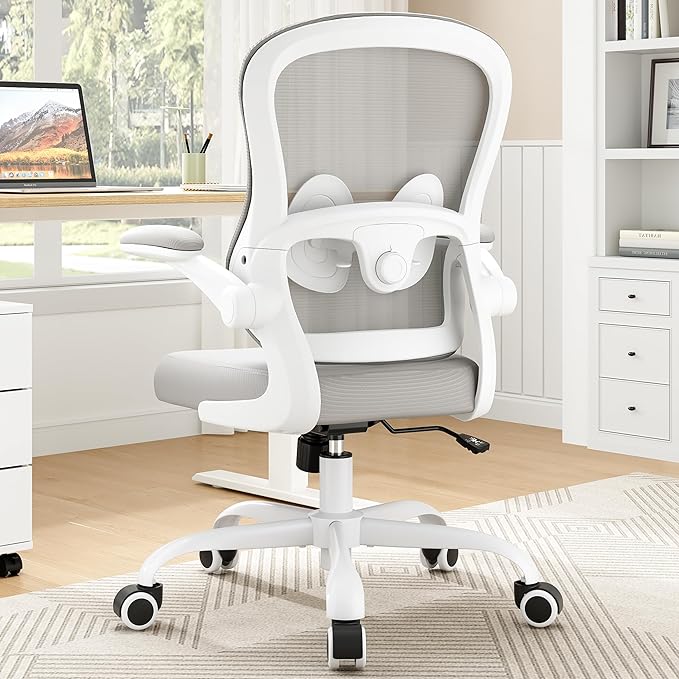 Office Chair Ergonomic Desk Chair - Mesh Comfy Home Desk Office Chairs with Wheels Adjustable Lumbar Support Flip up Armrest Executive Rolling Swivel Teacher Task Computer Chair Light Gray