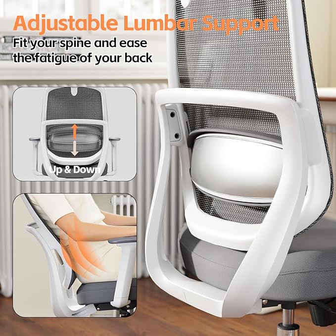 Ergonomic Office Chair, Home Office Desk Chairs, 3D Lumbar Support High Back Desk Chair, Comfortable Computer & Gaming Chair for Office & Home - Silver
