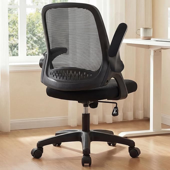 NEO CHAIR Office Desk Chair Computer Gaming Ergonomic Lumbar Back Support with Flip-up Padded Armrest Adjustable Height and Wheels for Home Vanity Bedroom Study (All Black)
