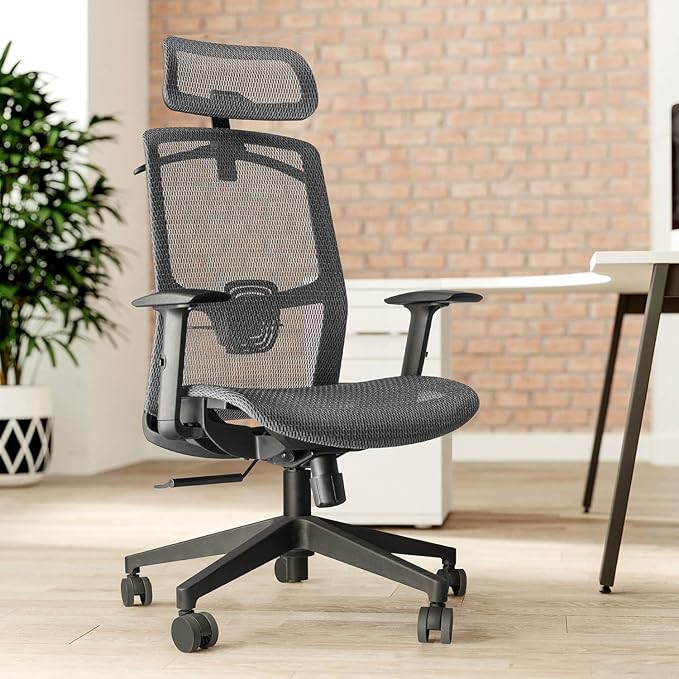 Furmax Ergonomic Office Chair Executive Chair with Mesh Seat High Back Computer Desk Chair with Adjustable Headrest Lumbar Support Armrest Rolling Task Chair with Clothes Hanger (Gray)