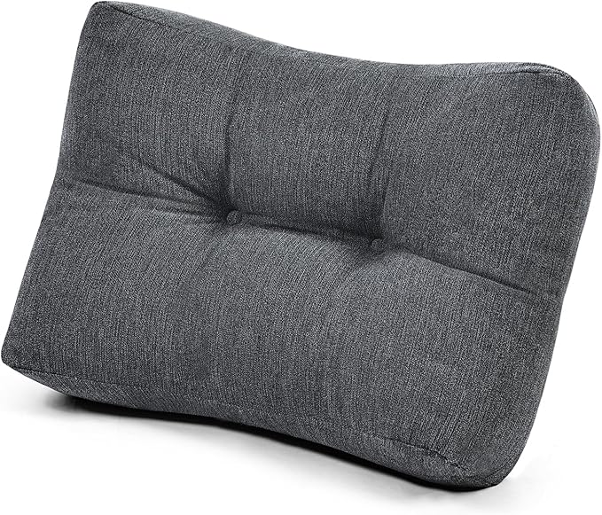 Shinnwa Lumbar Support Pillow for Office Chair, Memory Foam Back Support Pillow for Back Pain Relief, Car, Chair and Couch, 17.5 x 11.5 x 5.5in, Charcoal