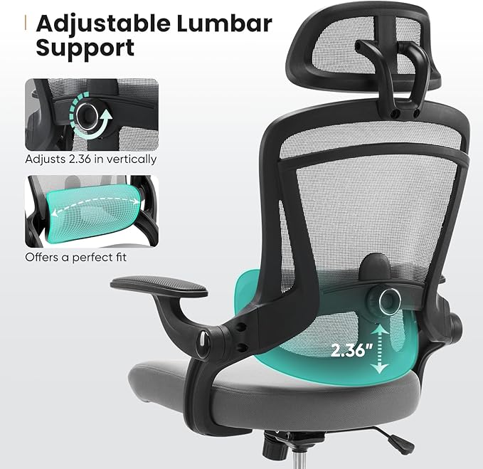 Sweetcrispy Executive Office Ergonomic Desk Chair, 300 LBS Home Mesh Chairs with Wheels, 2D Headrest, Up&Down Lumbar Support, Swivel High Back Computer Chair with Flip-up Armrests,Grey