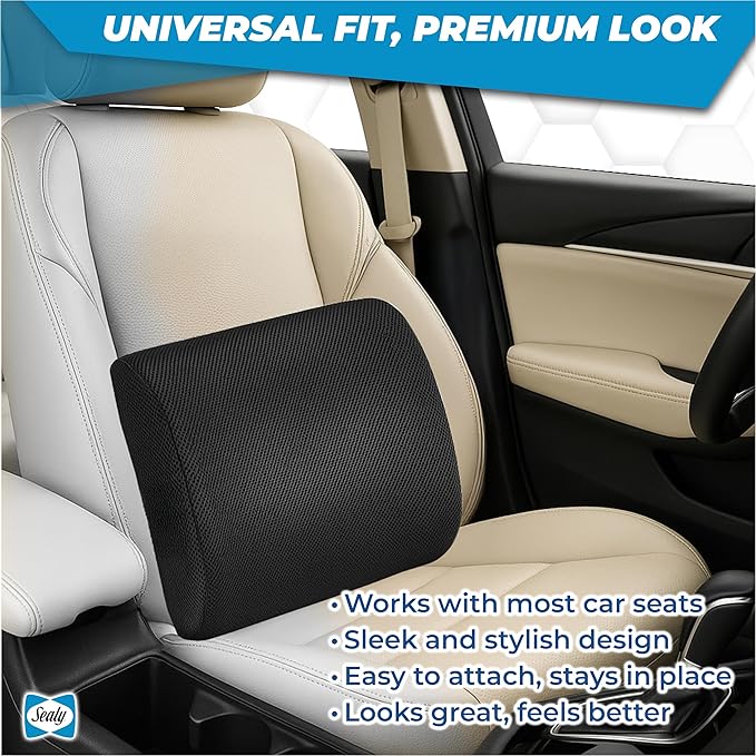Sealy Lumbar Support Pillow for Office Chair and Car Seat - Lower Back Pain Relief, Memory Foam Lumbar Pillow & Back Brace Support Posture Corrector