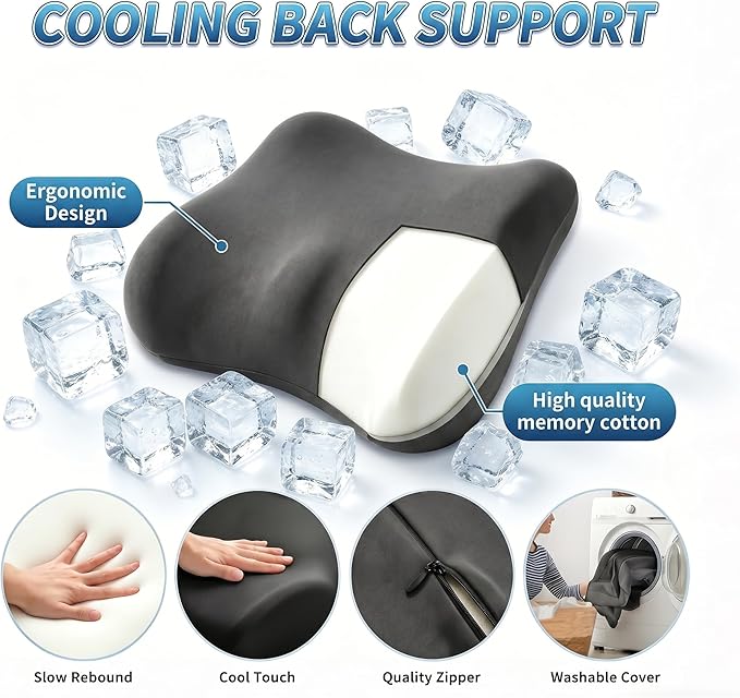 Lumbar Support Pillow for Office Chair & Car Seat, Ergonomic Memory Foam Back Cushion, Washable Pillow Cover, Lower Back Comfort & Posture Support for Home Desk Chair (Dark Grey)