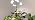 LBW Grow Light for Indoor Plants, Quad-Head Standing Plant Light, Full Spectrum, Wide Coverage, 63” Adjustable Height, Plug & Play