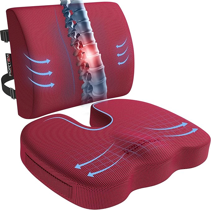 FORTEM Seat Cushion, Office Chair Cushion, Lumbar Support Pillow for Office Chair, Memory Foam Car Seat Cushions, Sciatica Coccyx Tailbone Pain Relief, Cushions for Back Support, Washable, Non Slip