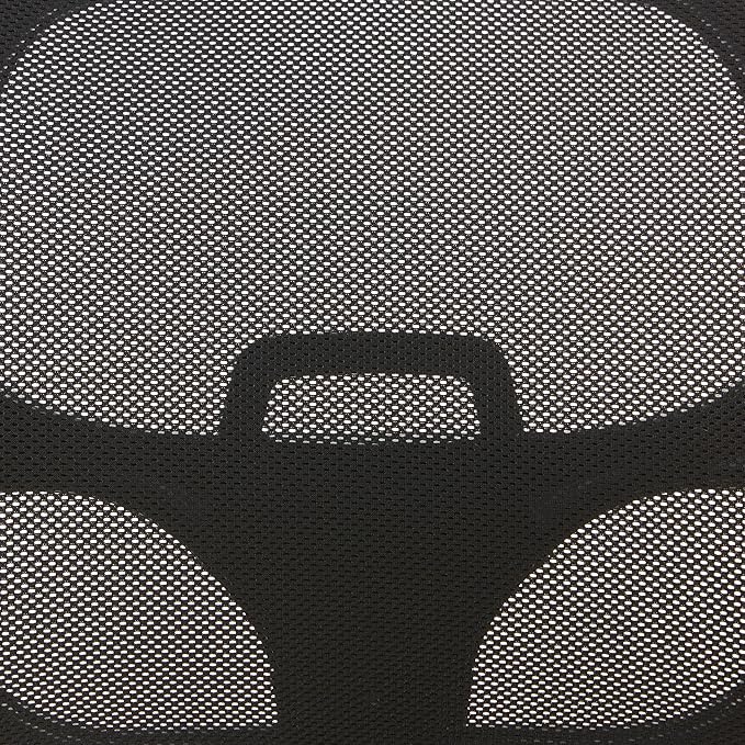 Office Star EM Series Mesh Screen Back Office Task Chair with Built-in Lumbar Support and Adjustable Back, Black Vinyl