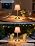 Cordless Pink Lamp,Small Desk Lamp Cute,Vintage Aesthetic Lamp